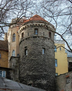 Rapunzel Tower Apartment, Tallinn